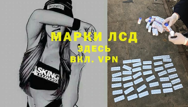 ГАЛЛЮЦИНОГЕННЫЕ ГРИБЫ Балахна
