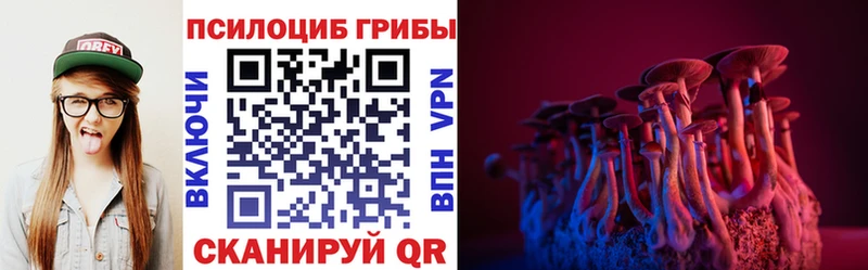 Галлюциногенные грибы ЛСД  как найти закладки  кракен ссылки  Новоалтайск 