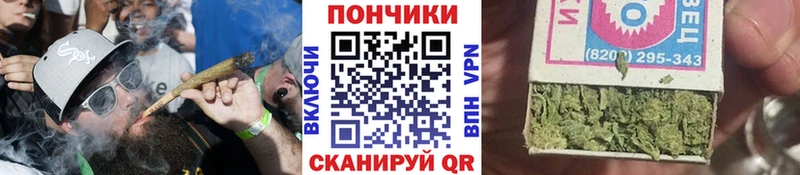 Бошки Шишки семена  Новоалтайск 